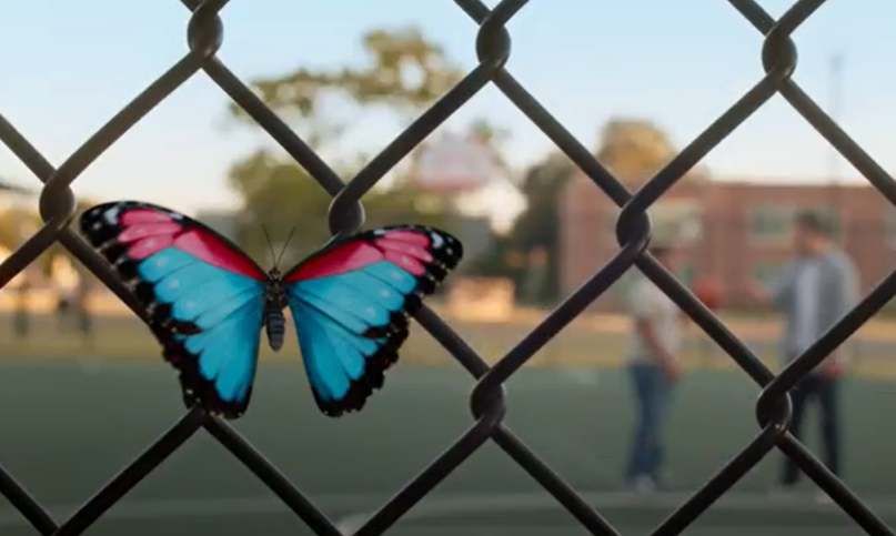 Screenshot 2025 03 03 125537 e1741124316425